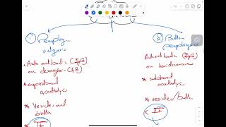 MSS pathology lab 1  part 2 [upl. by Onirotciv]