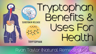 Tryptophan Benefits and Uses [upl. by Ekul638]