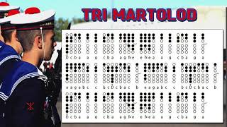 Trois matelots  Tri Martolod  TIN WHISTLE TABS TUTORIAL [upl. by Loralie]