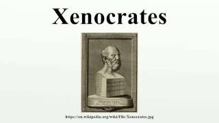 Xenocrates [upl. by Ariahay]