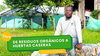 De residuos orgánicos a huertas caseras ♻️  TvAgro por Juan Gonzalo Angel Restrepo [upl. by Calderon936]