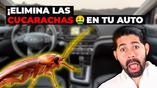 FUMIGA ACABA con las CUCARACHAS de tu VEHÍCULO  TDS EP 216 [upl. by Valda]