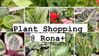 Plant Shopping  Rona vlogmas [upl. by Haas]