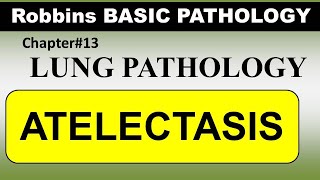 Chp13 Robbins Patho  Lung Pathology  ATELECTASIS [upl. by Zuzana]