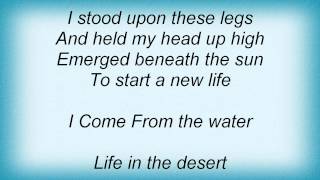 Toadies  I Come From The Water Lyrics [upl. by Blalock207]