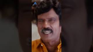 இப்போ தான் pointக்கு வந்து இருக்கீங்க  Chokka Thangam Movie Scenes  ytshorts Goundamani Senthil [upl. by Desiri]