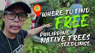 FREE Philippine Native Tree Seedlings [upl. by Derwin]