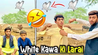 Do Dosto Ke Darmyan Sufaid Kaway Li Larai Ho Gayi Very Funny Video  Comedy Funny Video [upl. by Denten]