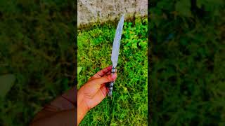 Super sharp Damascus fillet knife bestknifereview bestknife2024 kitchenknives thewizcrafts [upl. by Adekram]