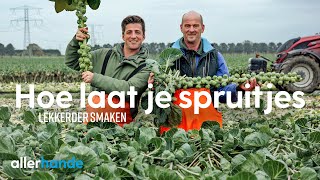 Hoe laat je spruitjes lekkerder smaken  Dit is het seizoen  Allerhande [upl. by Eastlake214]