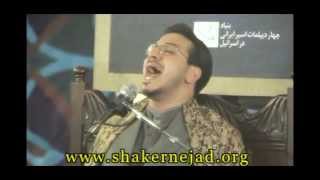 hamed shakernejad amazing maqam bayat [upl. by Alleynad154]