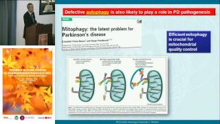 Pathogenesis and pathophysiology of PD  Fabio Blandini IRCCS Neurological Institute C Mondino [upl. by Theona]