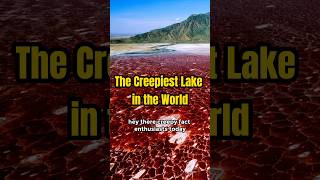 Discover the Terrifying Lake Natron Where Animals Turn to Stone [upl. by Jamila]