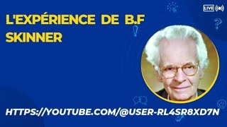 Lexpérience de BF Skinner [upl. by Frere431]