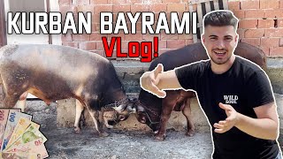 Aile Turu  Harçlık  Et döner  Kurban Bayramı VLog [upl. by Nwahsat]