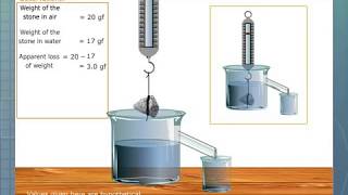 Verification of Archimedes Principle [upl. by Kaazi844]