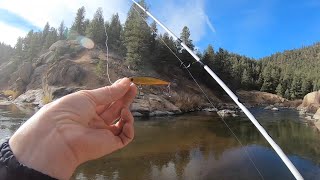 How to CATCH trout in rivers using Dynamic Lures HD trout TUTORIAL [upl. by Najram]