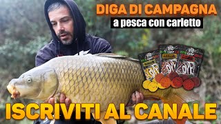 Diga di campagna l carpfishing vlog I a pesca con Carletto carpfishing carpfishingitalia [upl. by Weir]