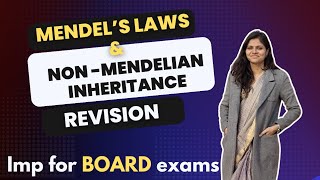 Mendels laws  law of segregation for class 12th Boards  law of dominance [upl. by Sidman]