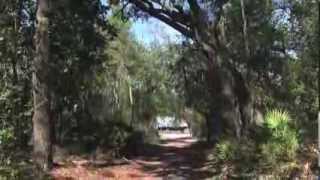 The History of the Chesser Island Homestead at Okefenokee National Wildlife Refuge [upl. by Ahsirkal551]