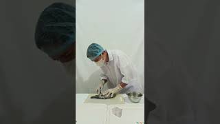 Filleting A Tilapia Fish [upl. by Yhotmit]