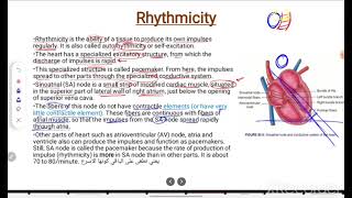 Autorhythmicity and excitability of cardiac muscle part 2 [upl. by Elleynad]