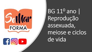 BGº 11  Reprodução assexuada meiose e ciclos de vida  SoMar Forma [upl. by Luiza]