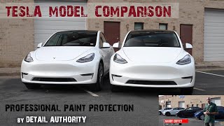 Tesla model Y  XPEL Ultimate Plus vs Xpel Stealth Paint Protection Comparison  by Detail Authority [upl. by Gorrian]