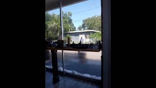 Damages from Hurricane Helen in Tarpon Springs Florida [upl. by Sedinoel]