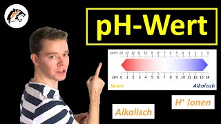 pHWERT Säuren amp Basen  Chemie Tutorial [upl. by Phillips]