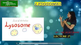 Lysosomes Lecture27 Cell Biology Protein hydrolases [upl. by Wescott437]