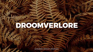 Droomverlore [upl. by Edorej]