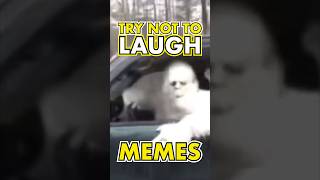 TRY NOT TO LAUGH MEMES 🤣 Daily Funny Videos pt190 [upl. by Imhskal504]