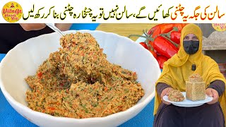 Laal Mirch Lehsun Chutney Recipe  Chatpati Chatkhara Chutney Recipe  Chutney by Village Handi Roti [upl. by Aridaj]