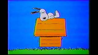 Snoopy Double Duty Commercial 1985 [upl. by Nonnaehr2]