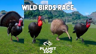 Abyssinian and Southern Ground Hornbill Wild Turkey Takahe Kiwi  Planet Zoo Bird Race [upl. by Ardnalac625]