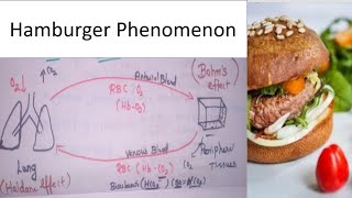 Hamburger Phenomenon  Chloride Shift  Bohr effect  Random video Mightymedicoz [upl. by Ennayhc748]