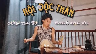 🦋quotHỘI ĐỘC THÂNquot Tình cảm trong 6 THÁNG tới ❤️ Kitoàn Tarot Channel [upl. by Idnam]