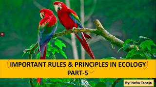 MOST IMPORTANT RULES amp PRINCIPLES IN ECOLOGY  PART5  HAMILTON RULE  HALDANE RULE [upl. by Nosemaj395]