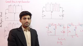 current flow in a npn transistor current gain of transistor class 12 physics chapter 18 electronics [upl. by Eibba]