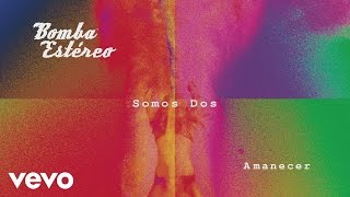 Bomba Estéreo  Somos Dos Cover Audio [upl. by Neleb]