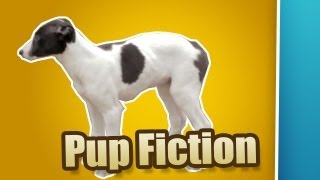 PUP FICTION  Greyhounds The Dogumentary Episode 1 [upl. by Razal]