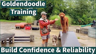 Goldendoodle Training amp Confidence Building  Online Coaching Example [upl. by Trixy47]