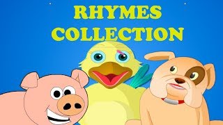 Animal Nursery Rhymes Collection  Medley  10 Nursery Rhymes For Children [upl. by Screens]