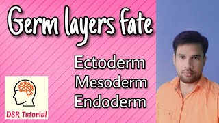 Germ layers embryology Fate of germ layers  Ectoderm  Mesoderm  Endoderm [upl. by Kati]