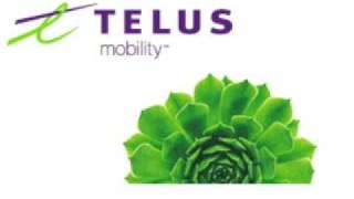 Interview TELUS Ted Woodhead VP of Telecom Pol [upl. by Roswell]