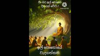 ඉල් පෝය වැදගත්කම  il poya wadagathkama  novamber poya  නොවැම්බර් පෝය  sithe bale  poya katha [upl. by Aliber]