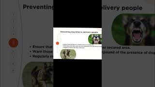 Preventing dog bites doglover dogobedience pettrainning [upl. by Anauqaj]