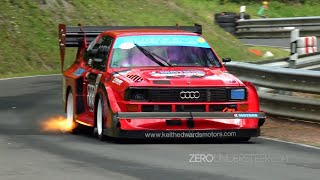 Best of Audi Quattro S1 Group B Rally amp Hillclimb Monsters  Pure sound [upl. by Nail]