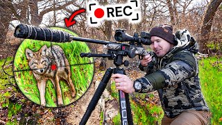 My First Ever Coyote Hunting Tournament  Scope Cam [upl. by Mitchell]